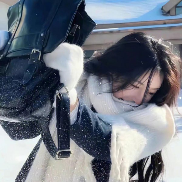 奥尔高索洛的强盗